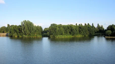 Bovenlanden Aalsmeer - help mee - nalaten testament